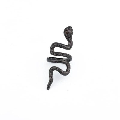 Bague Serpent  Argent Homme - Bijoux-egyptiens.fr